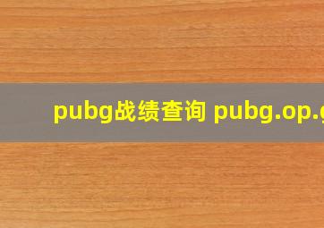 pubg战绩查询 pubg.op.gg